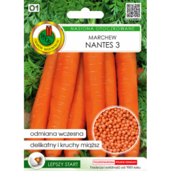 Морковь Нантская гран. 300шт. (семена) "PNOS"Р